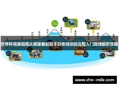 世界杯观赛指南从哪里看起新手到老球迷的完整入门路线解析攻略