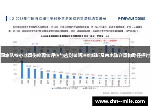 国家队核心球员伤停现状评估与应对策略深度解析及未来阵容重构路径探讨