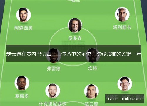 瑟云聚在费内巴切四三三体系中的定位，防线领袖的关键一年